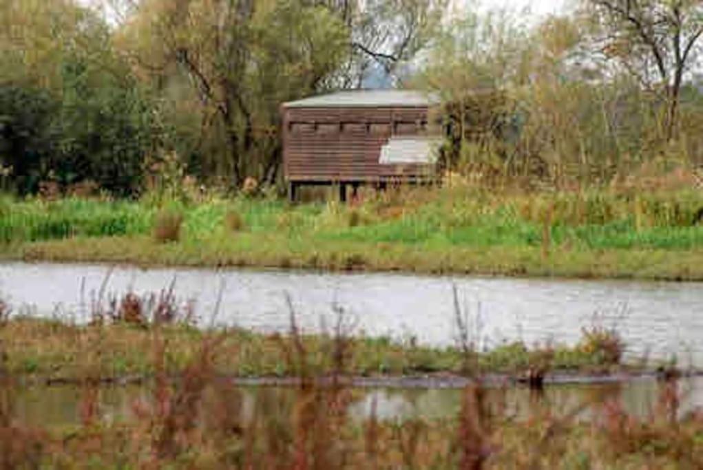 Вилла The Loft At The Croft - Stunning Rural Retreat Perfect For Couples & Dogs Leigh  Экстерьер фото
